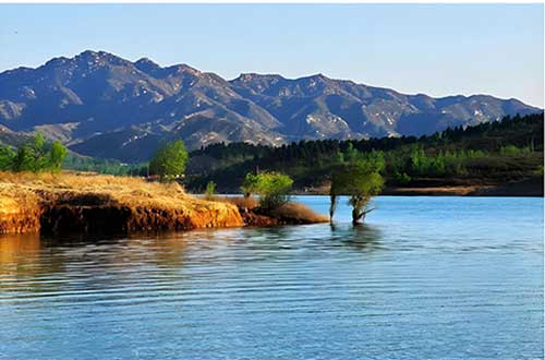 xbp4210.jpg xbp4210.jpg