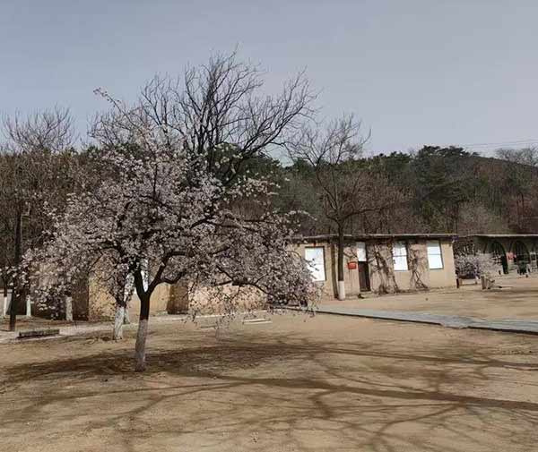 西柏坡红色基因激活干部队伍建设活力 西柏坡红色基因激活干部队伍建设活力