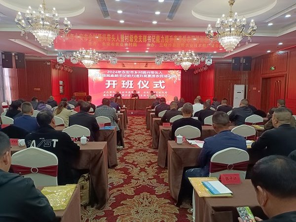 参训学员培训体验
