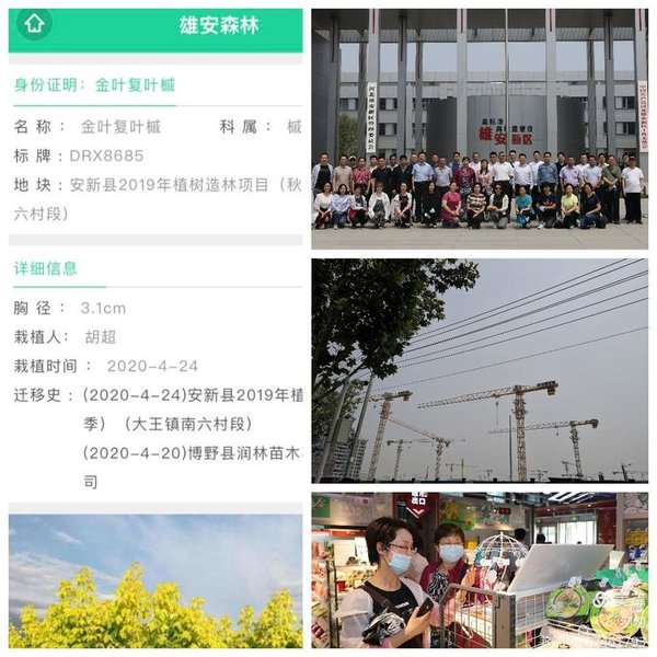 西柏坡红色培训带